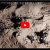 大分県杵築市アカウミガメの孵化の動画part1