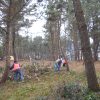 ２月松林の整備実施